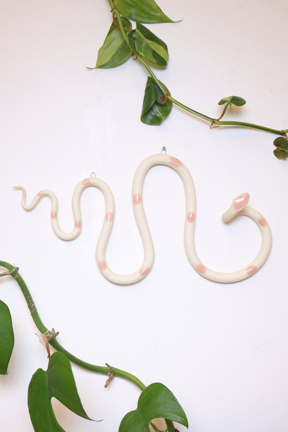 Horizontal Wall Snake-zoom-7