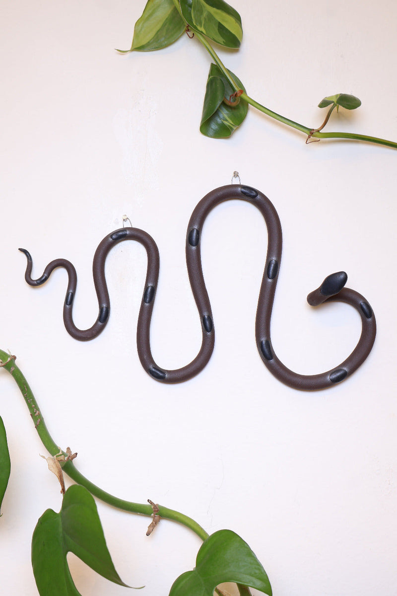 Horizontal Wall Snake-zoom-