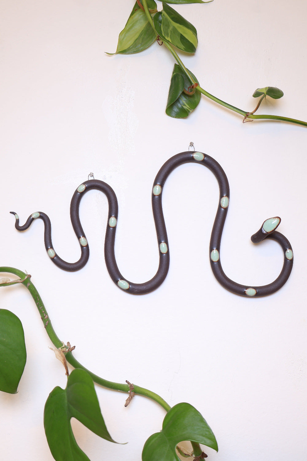 Horizontal Wall Snake-zoom-2