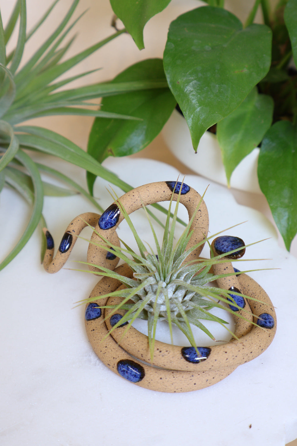Medium Ceramic Snake-13