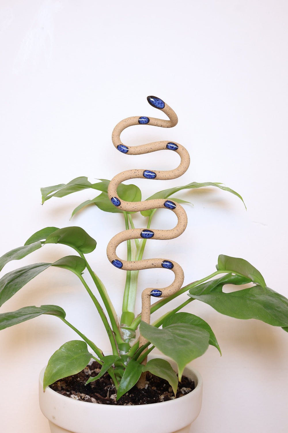 Ceramic Plant Snake Stake - Aware House - Carter + Rose -