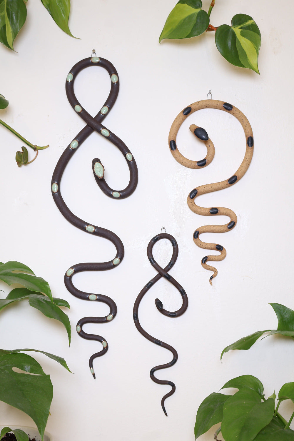 Wall Snake Starter Set