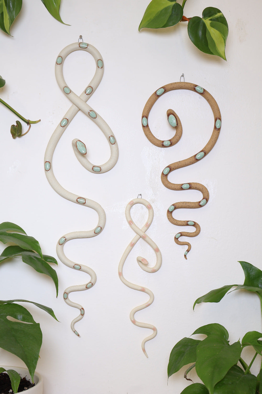 Wall Snake Starter Set-3