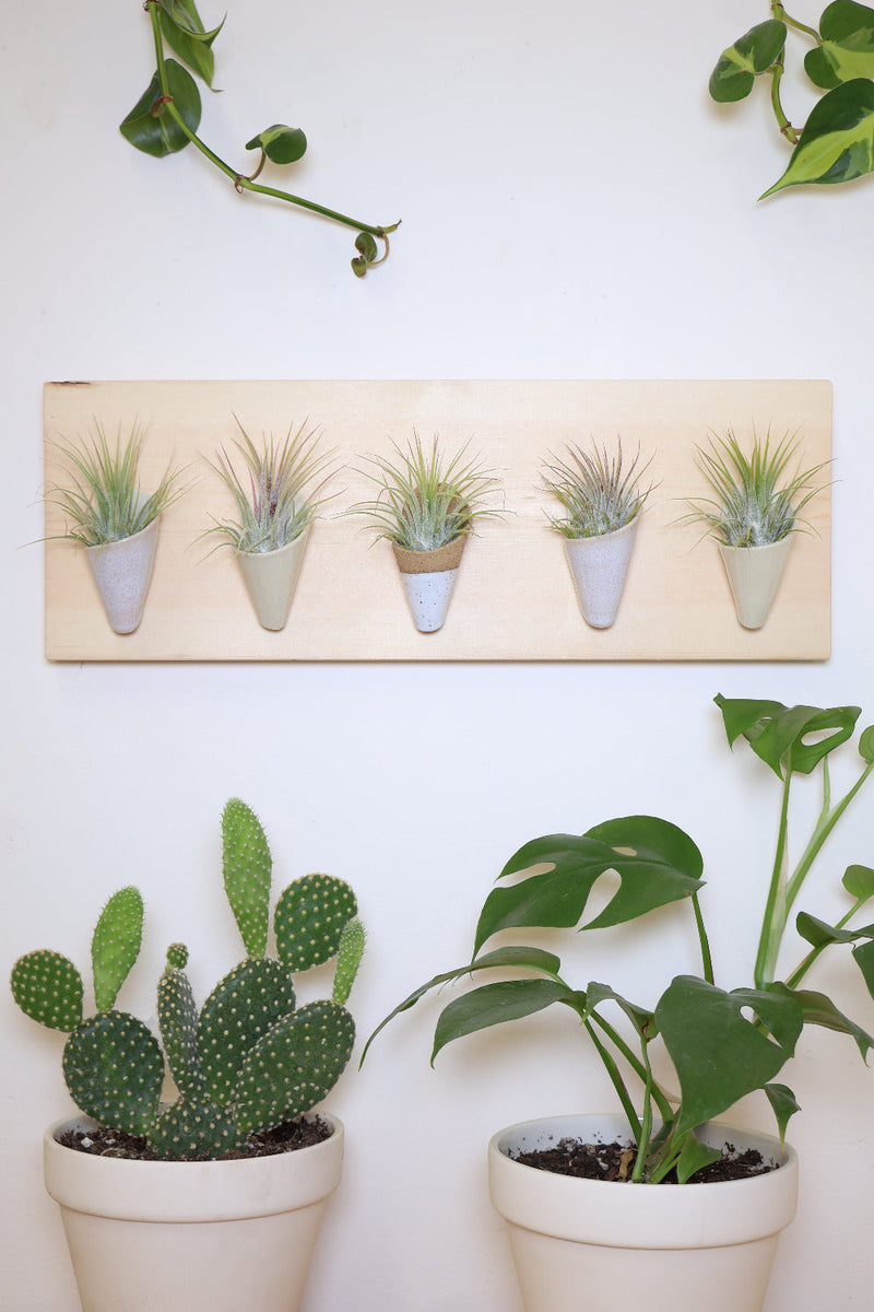 Horizontal Ceramic Wall Planter-zoom-