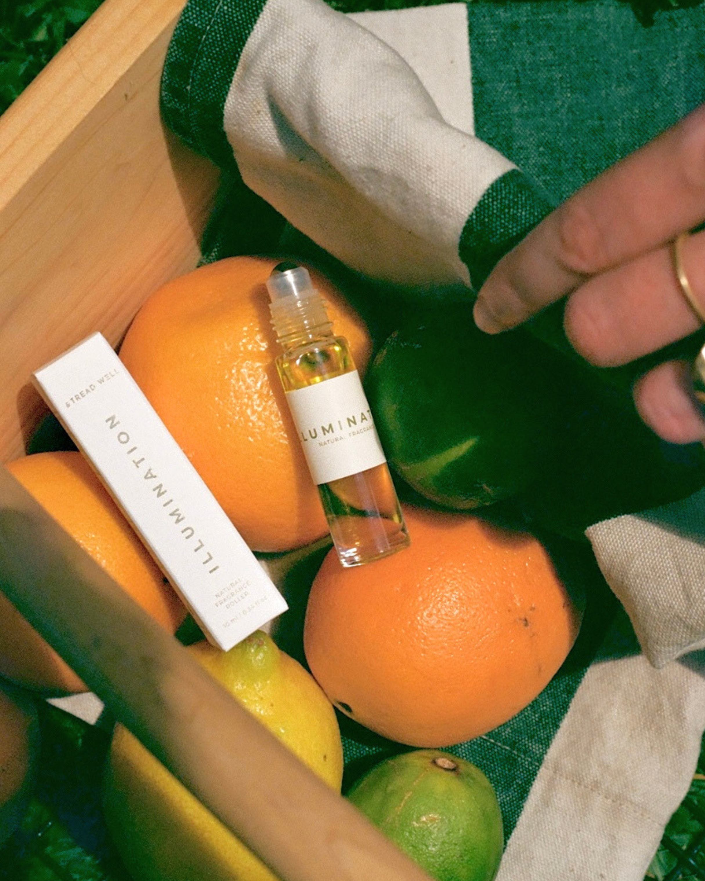 Natural Fragrance | Illumination-zoom-3