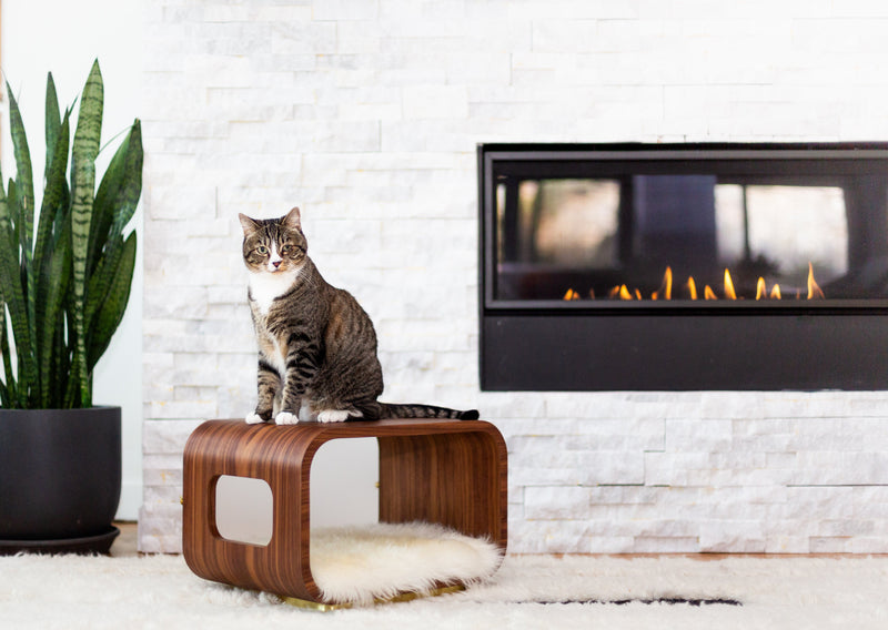 LUNA Bed in Walnut-zoom-