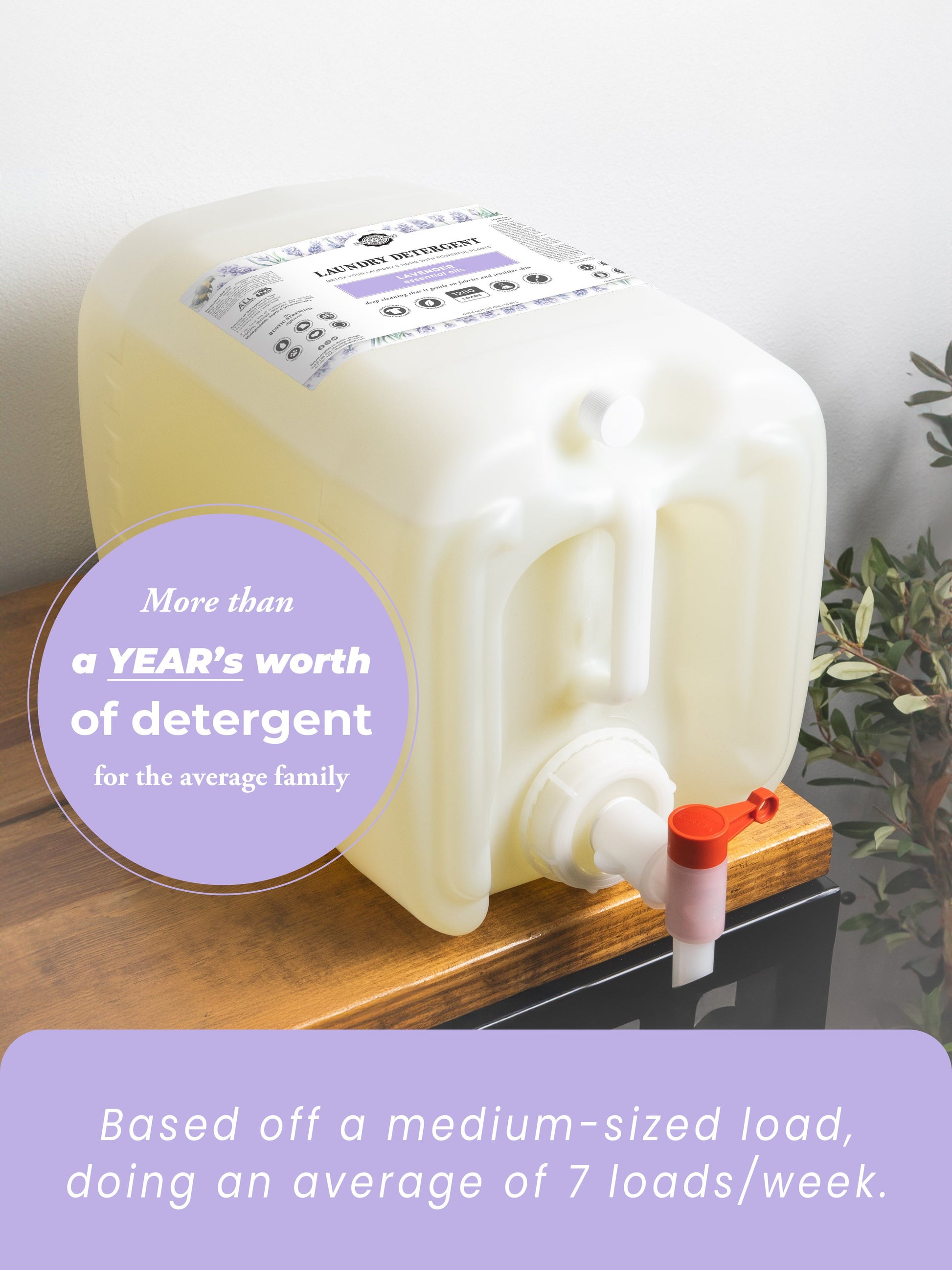 Laundry Detergent | Lavender-17
