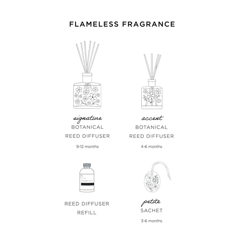 Accent Botanical Reed Diffuser | Harvest Pumpkin-zoom-