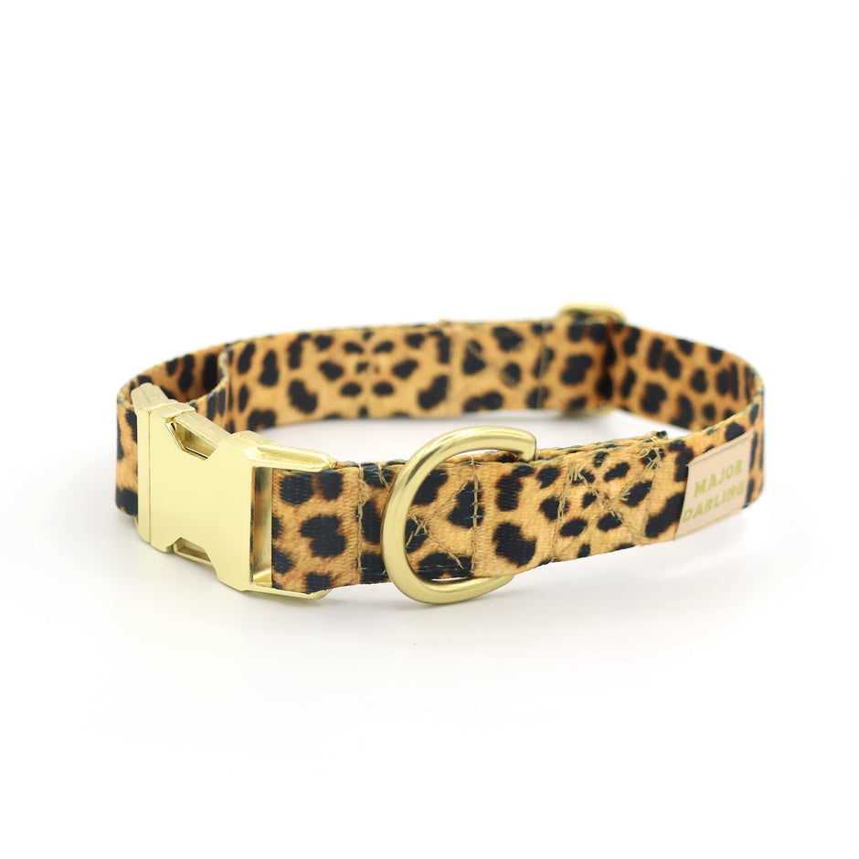 Not-So-Basic Snap Dog Collar | Leopard