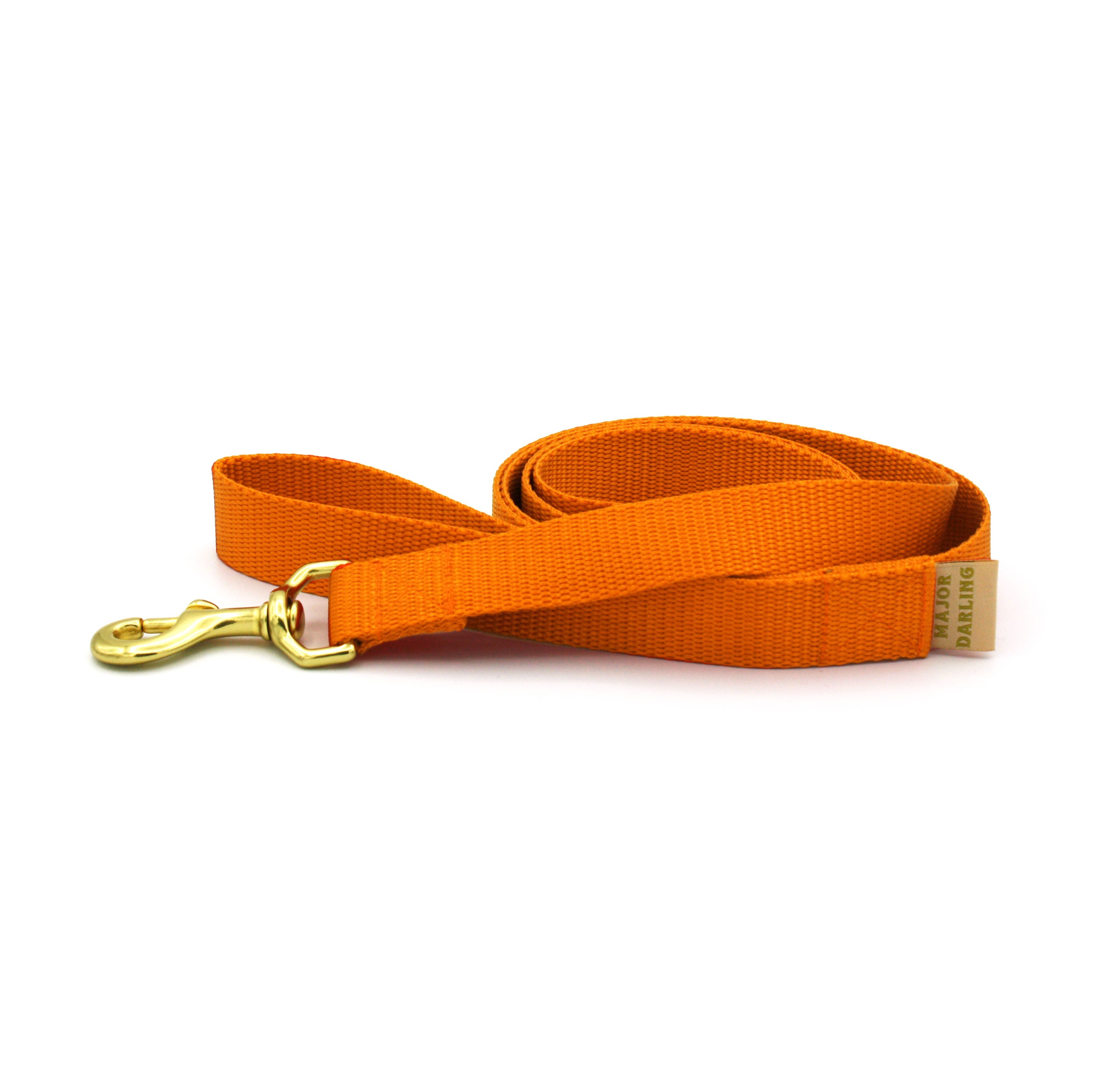Basic Dog Leash-zoom-21
