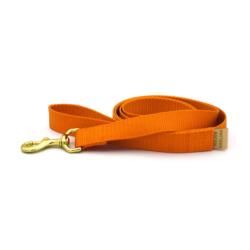 Basic Dog Leash-zoom-