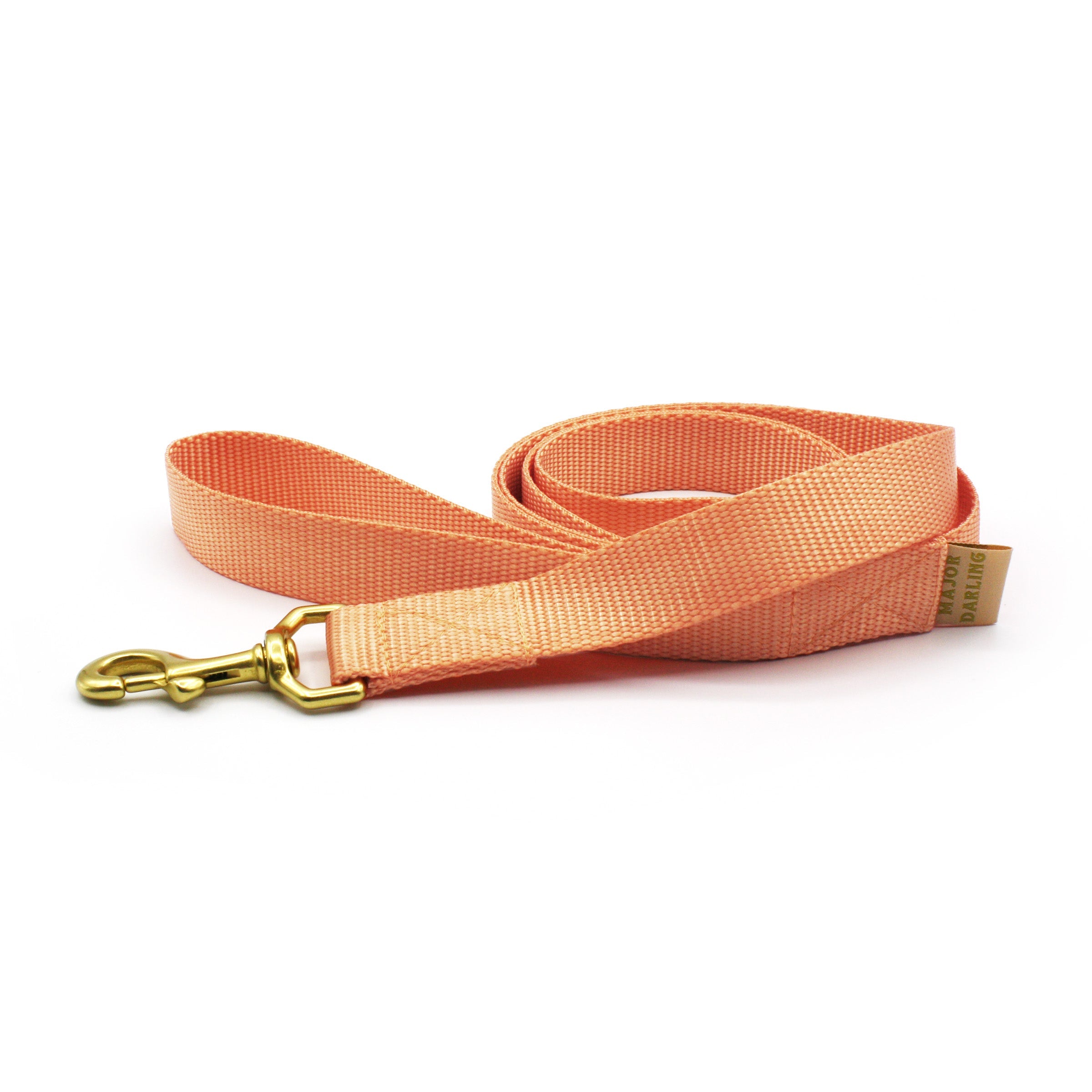 Basic Dog Leash-zoom-20