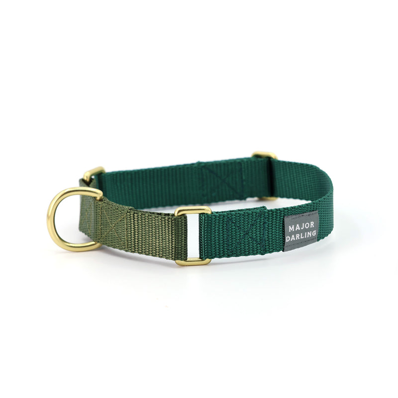 Martingale Dog Collar / Forest + Olive-zoom-