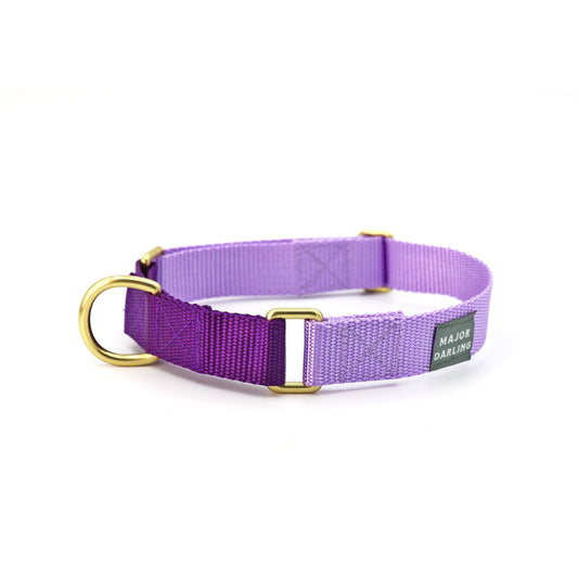 Martingale Dog Collar / Lilac + Violet