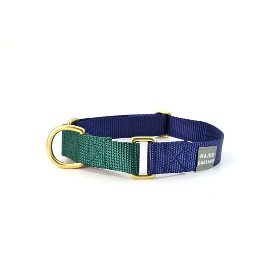 Martingale Dog Collar / Navy + Forest