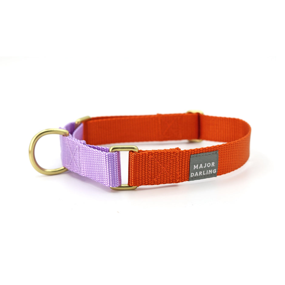 Martingale Dog Collar | Orange + Lilac