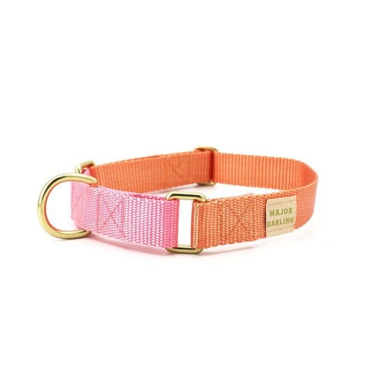 Martingale Dog Collar / Peach + Pink