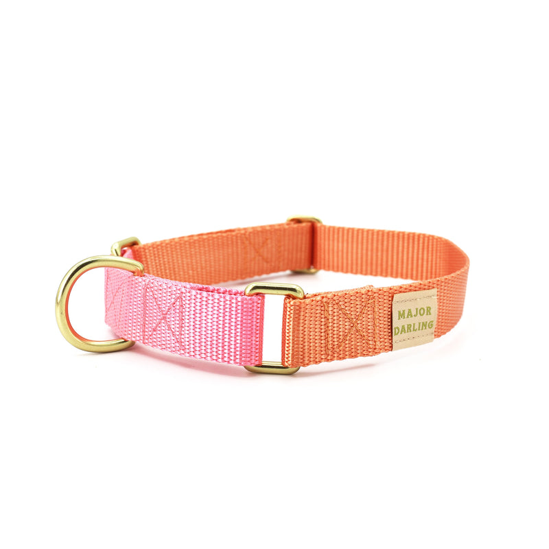 Martingale Dog Collar / Peach + Pink-zoom-
