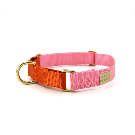 Martingale Dog Collar / Pink + Orange