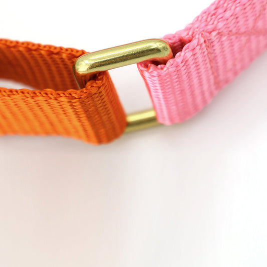 Martingale Dog Collar / Pink + Orange