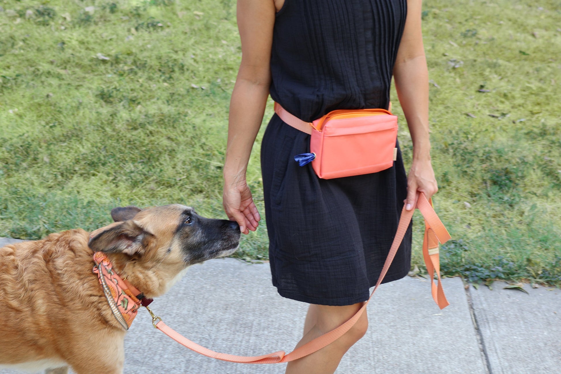 Dog Walking Fanny Pack-11
