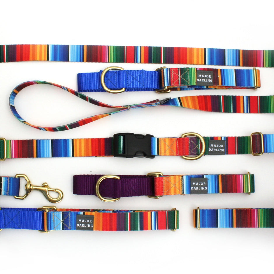 Not-So-Basic Dog Leash | Serape