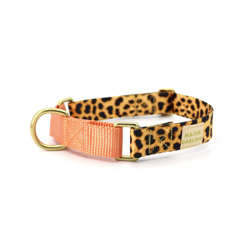 Martingale Dog Collar | Leopard + Peach