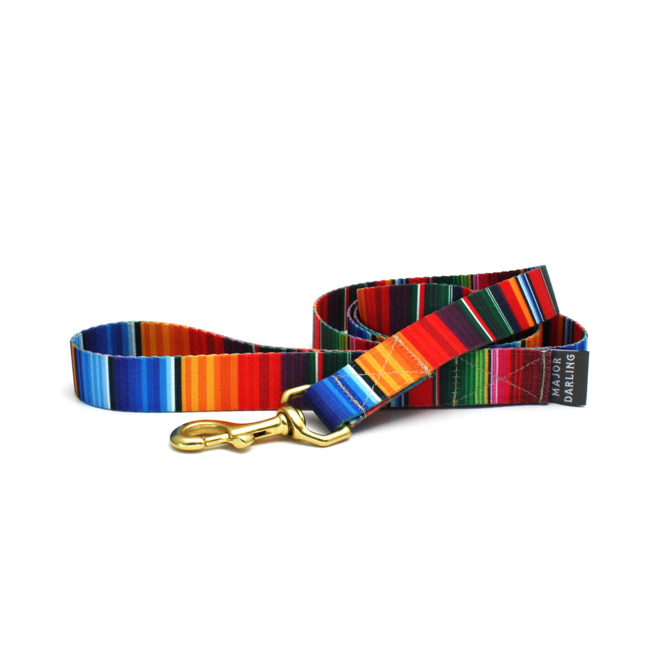 Not-So-Basic Dog Leash | Serape