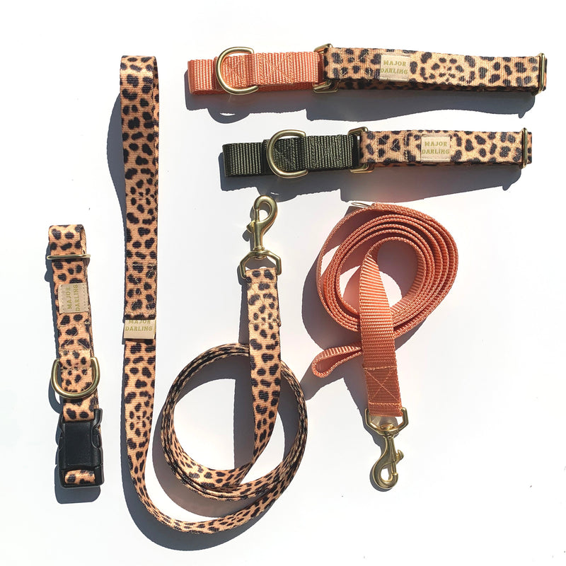 Martingale Dog Collar / Leopard + Peach-zoom-