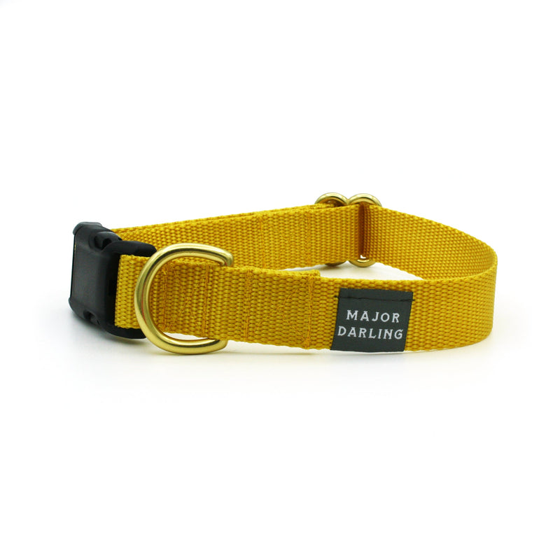 Basic Snap Dog Collar-zoom-