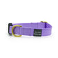 Basic Snap Dog Collar