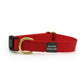 Basic Snap Dog Collar