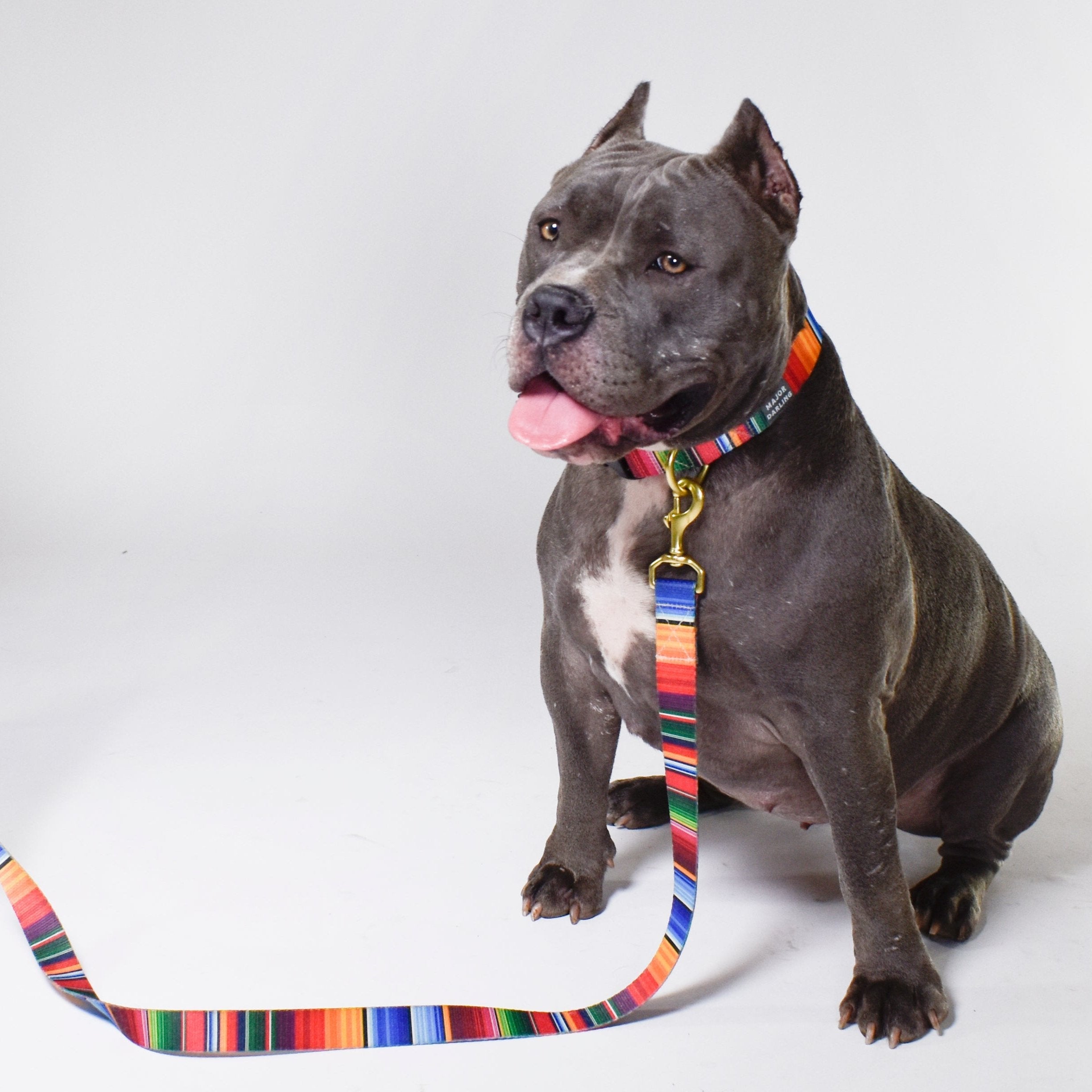 Not-So-Basic Dog Leash / Serape-zoom-4