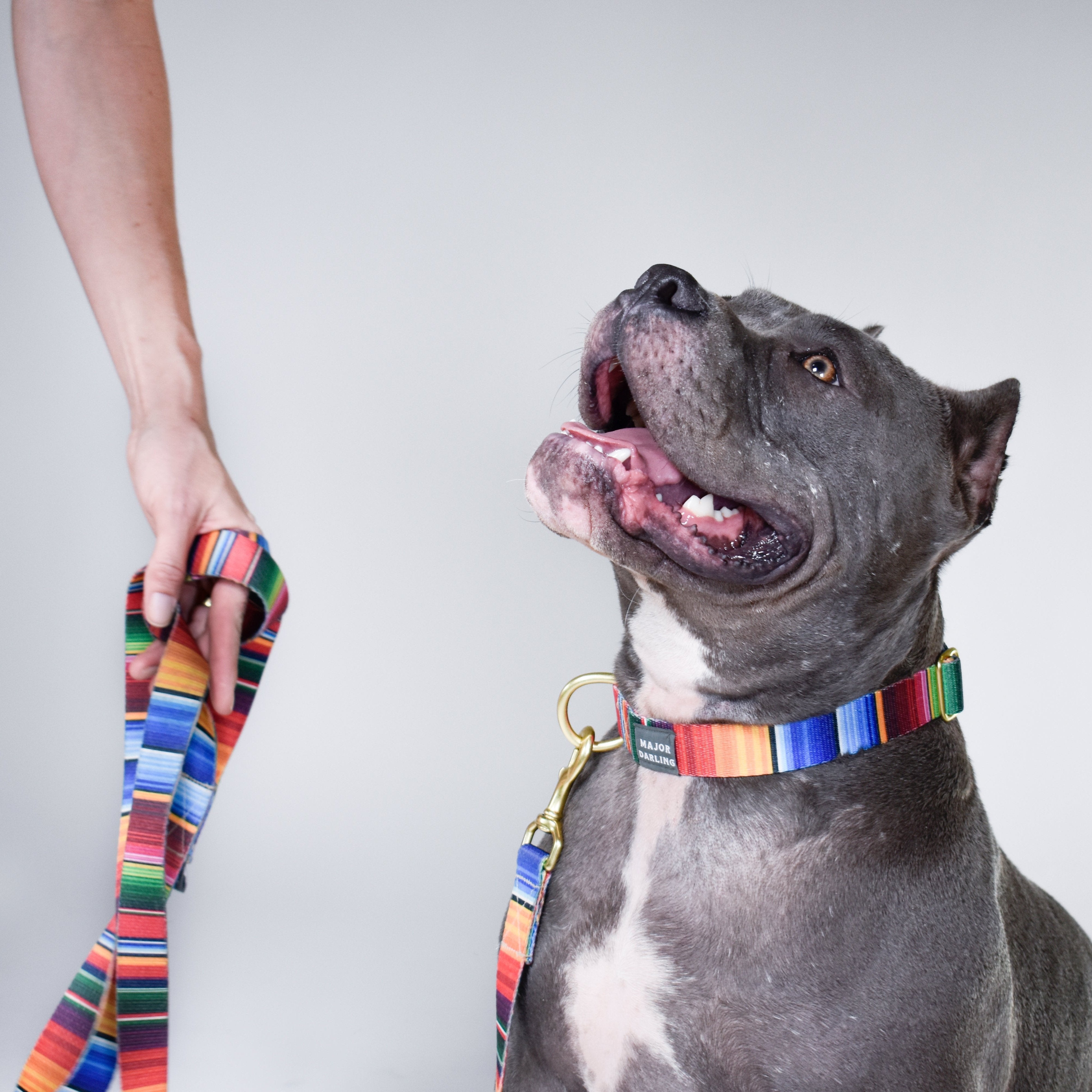 Not-So-Basic Dog Leash / Serape-zoom-5