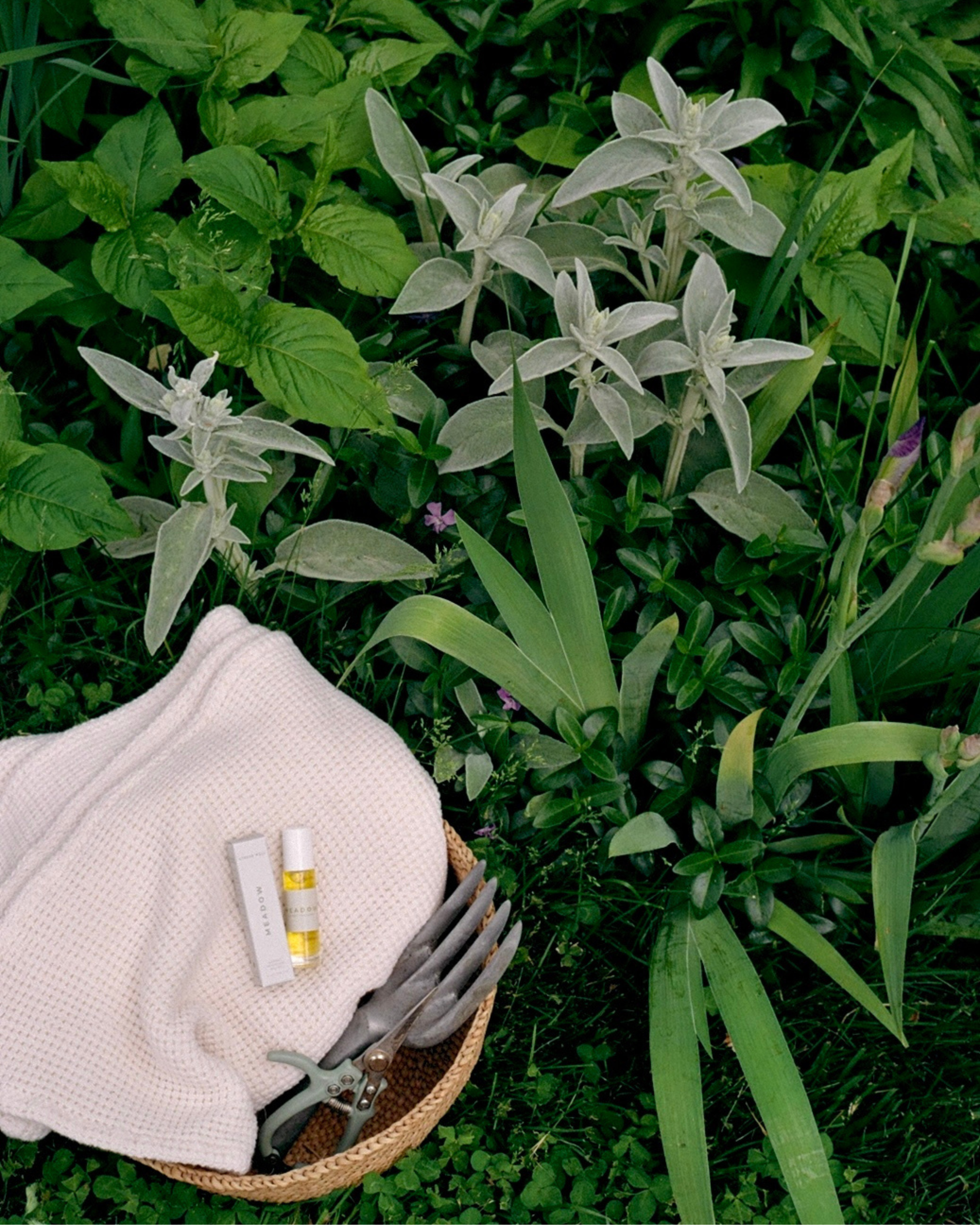 Natural Fragrance | Meadow-zoom-3