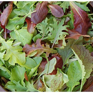 Lettuce - Mild Mesclun Mix-zoom-