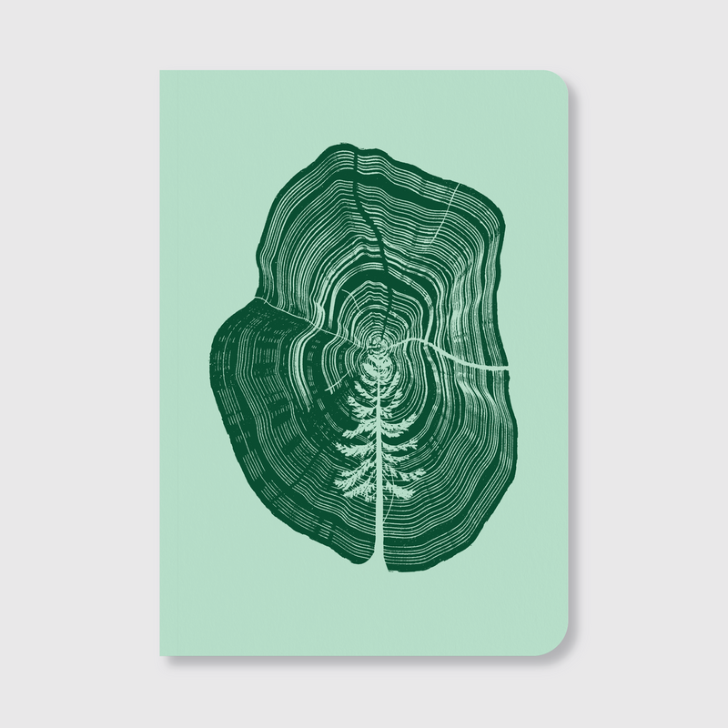 Tree in Tree Notebook-zoom-