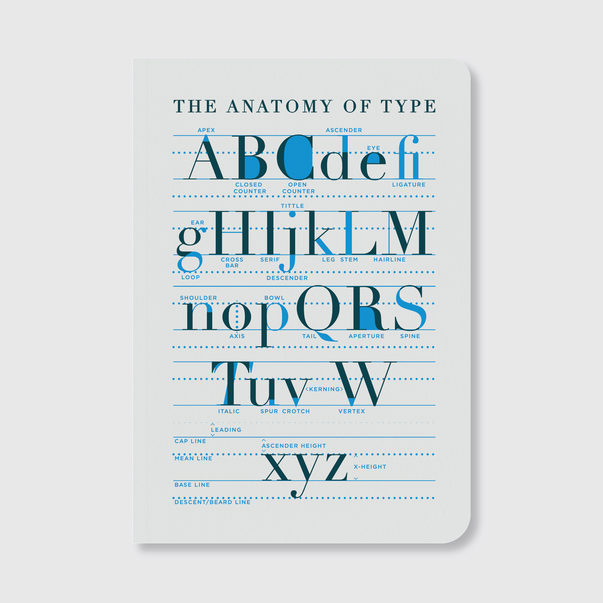 Anatomy of Type Notebook-zoom-1
