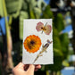 Hardten's Garden Pressed Flower Cards + Seeds