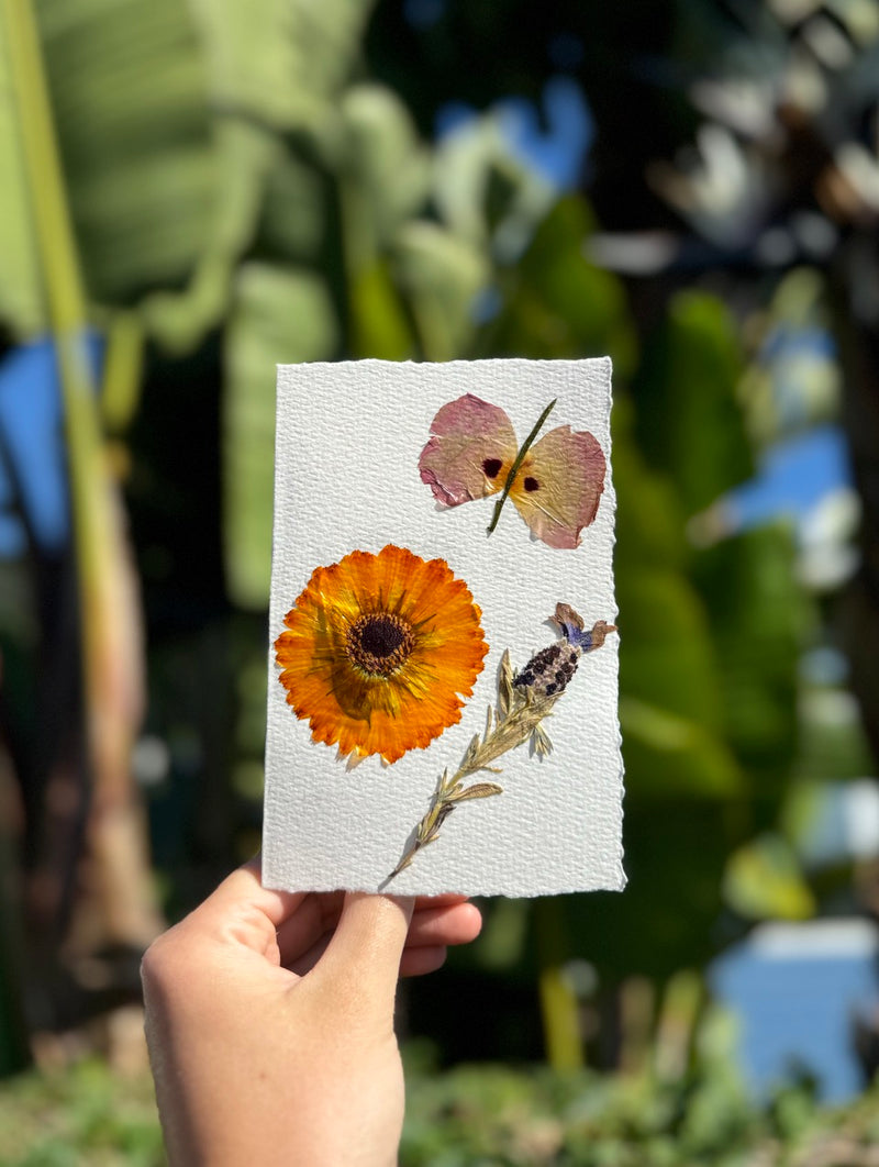 Hardten's Garden Pressed Flower Cards + Seeds-zoom-