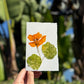 Hardten's Garden Pressed Flower Cards + Seeds