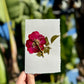 Hardten's Garden Pressed Flower Cards + Seeds