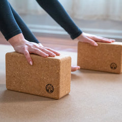Cork Yoga Block Set - Aware House