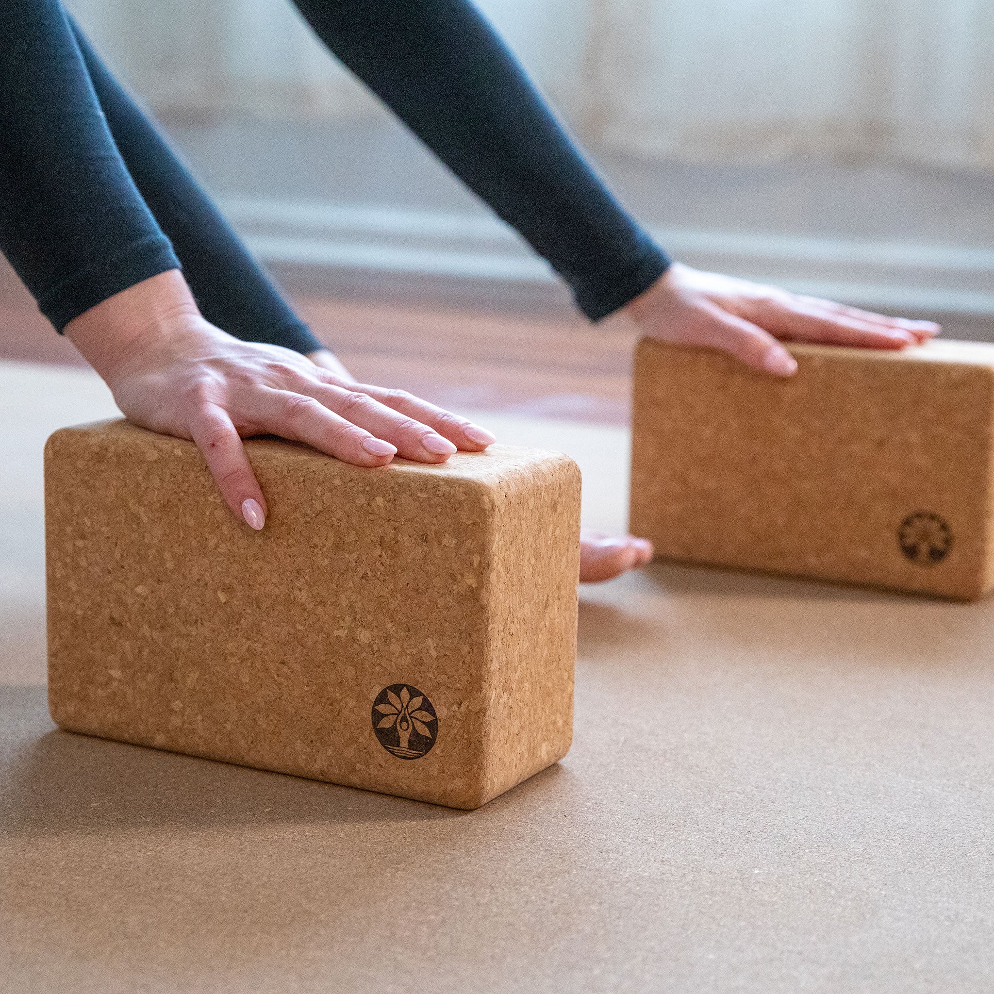Cork Yoga Block Set - Aware House