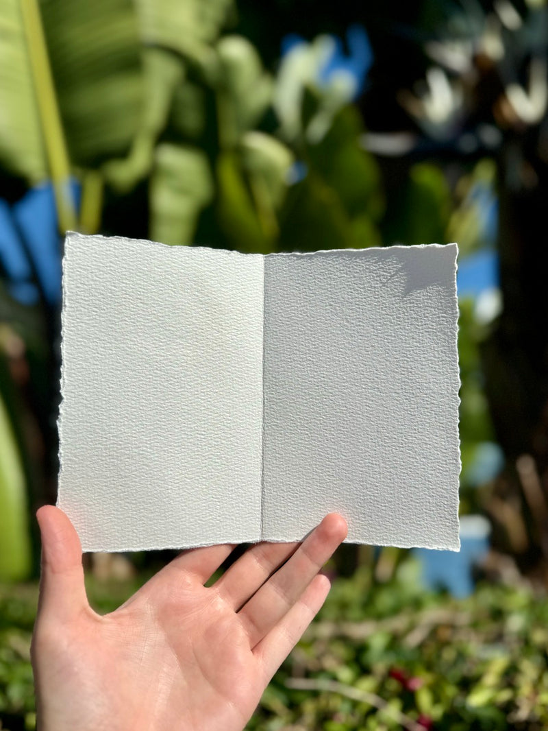 Hardten's Garden Pressed Flower Cards + Seeds-zoom-