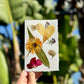 Hardten's Garden Pressed Flower Cards + Seeds