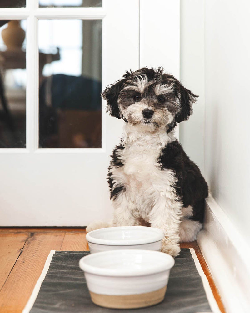 Farm Dog Bowl-zoom-