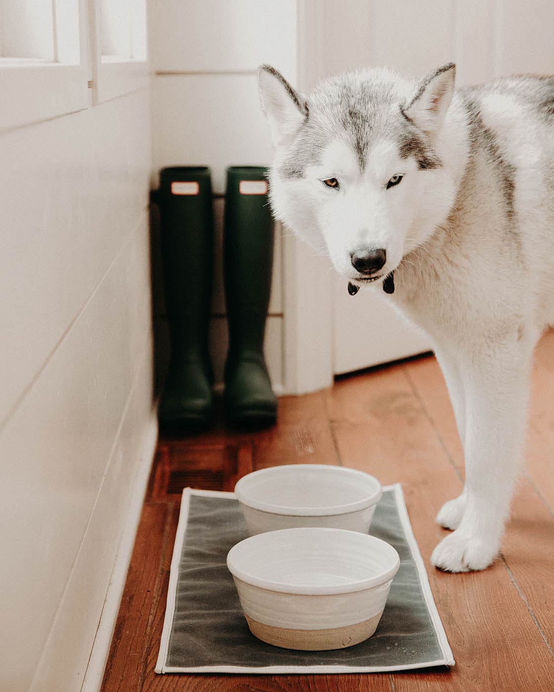Farm Dog Bowl-zoom-5
