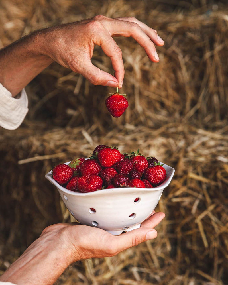 Windrow Berry Bowl-zoom-