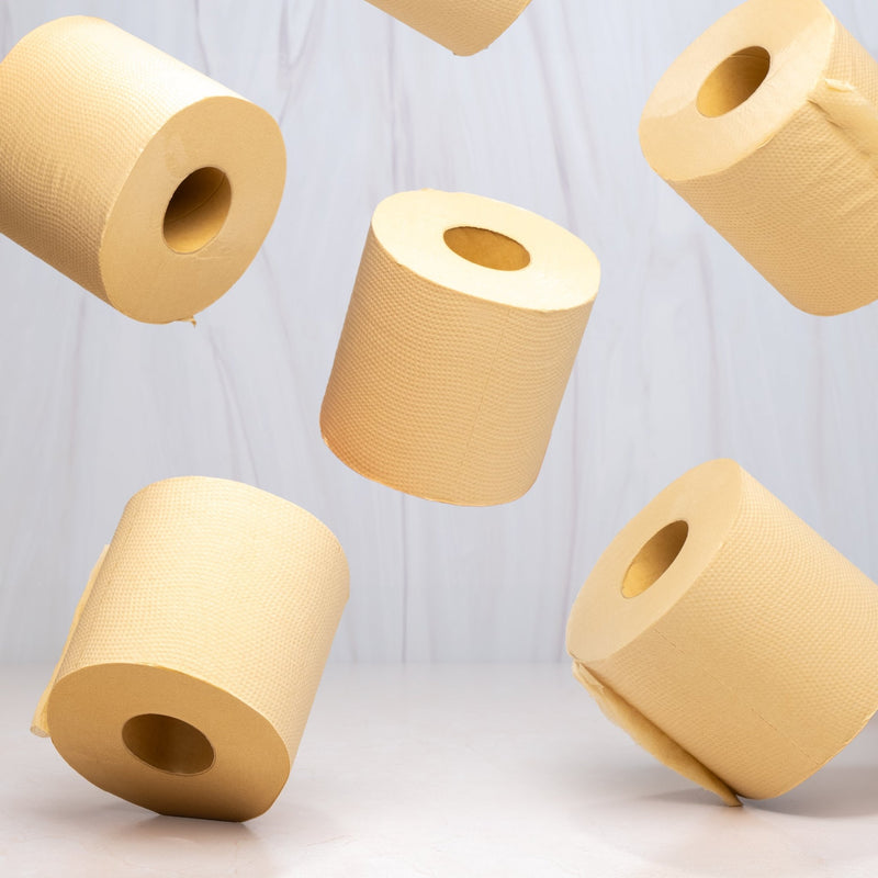 Panda Eco Paper | Bamboo Toilet Paper-zoom-